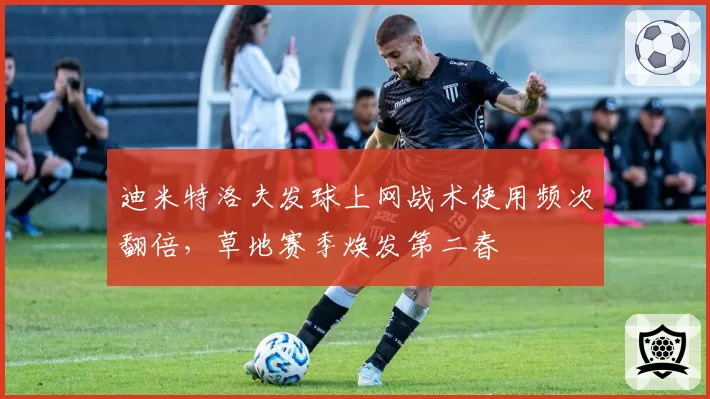 迪米特洛夫发球上网战术使用频次翻倍,草地赛季焕发第二春