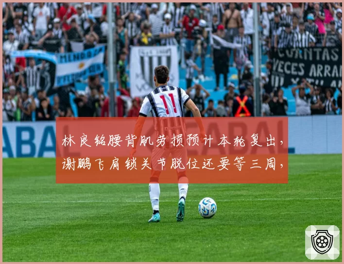 林良铭腰背肌劳损预计本轮复出，谢鹏飞肩锁关节脱位还要等三周，国安攻击线伤情轻重截然不同